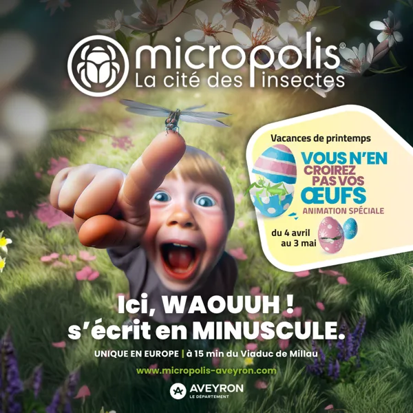 , MICROPOLIS