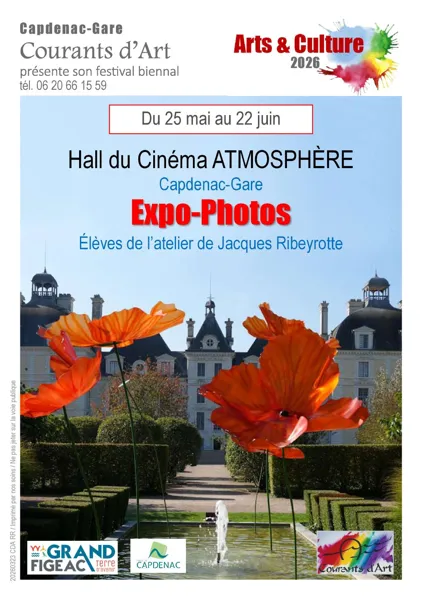 Le festival biennal Arts et Culture : expo photos