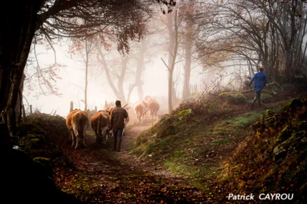 Mais où vont les chemins de traverse
