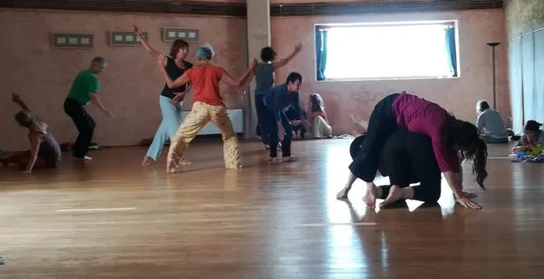 Danse Improvisée et Body-Mind Centering®