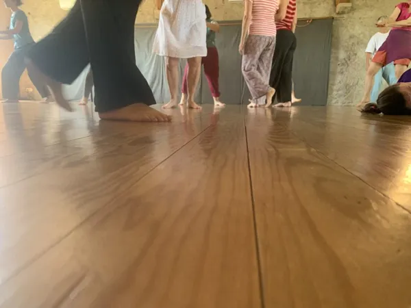 Rencontres plurielles : Contact Improvisation et BMC®