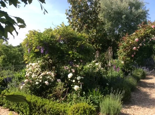 Journée Open Garden - Le jardin du Presbytère de Villevayre