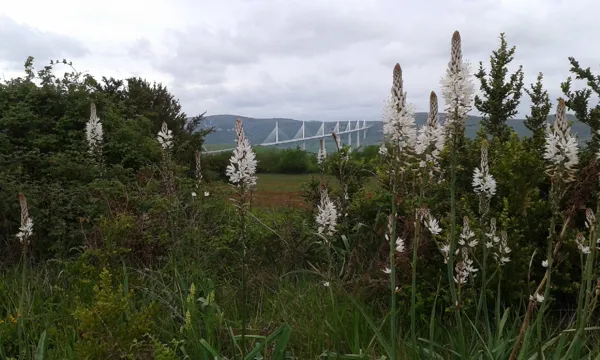 Gratuit, Millau - photo 39