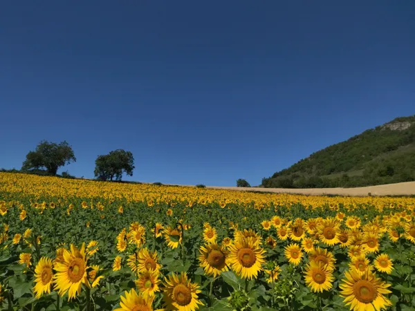 Gratuit, Millau - photo 38