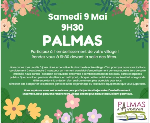 , commune de palmas