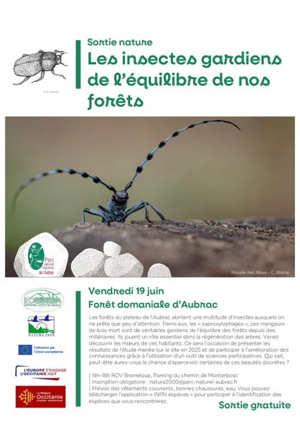 Semaine de la biodiversité : sortie nature 