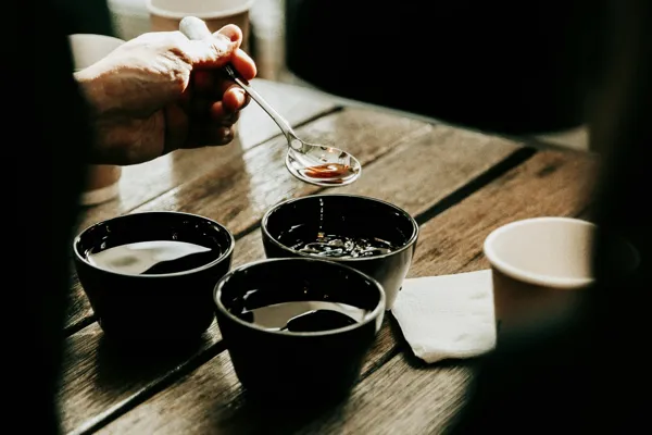Atelier de Dégustation de Café