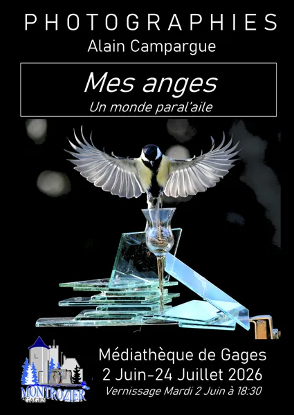 Exposition de photographies