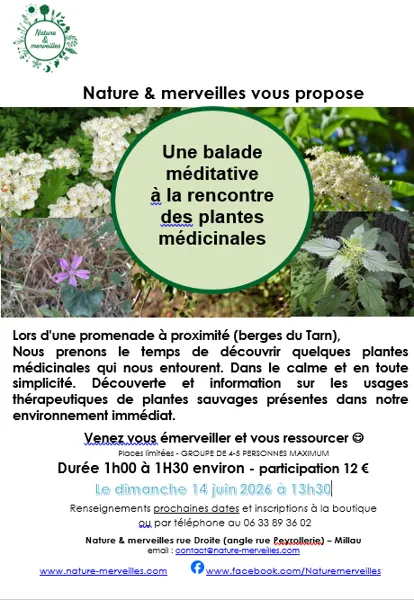 Balade méditative 