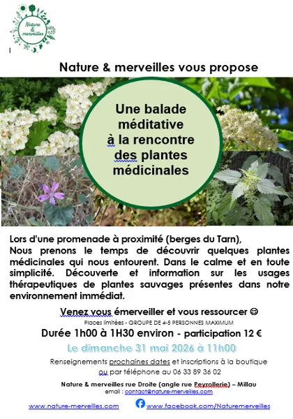 Balade méditative 