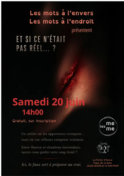 Atelier - Et si ce n'était pas réel ?