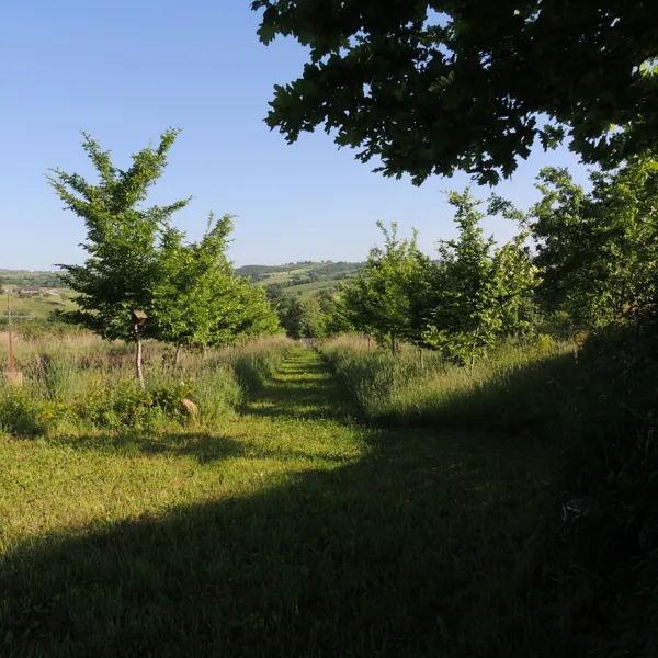 Forêt jardin du Landassou