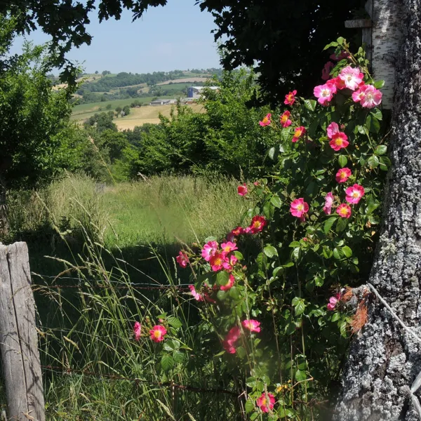 Forêt jardin du Landassou