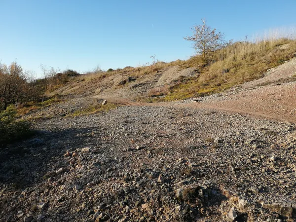 TRAIL D'AQUI - LA LOUBIERE, OT Terres d'Aveyron