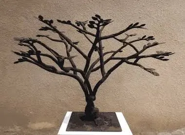 Solid'Art