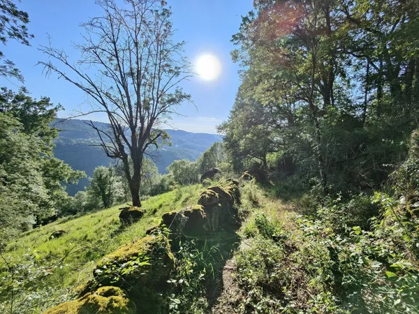 TRAIL D'AQUI - LE NAYRAC, OT Terres d'Aveyron