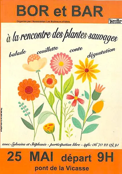 Balade nature : À la rencontre des plantes sauvages