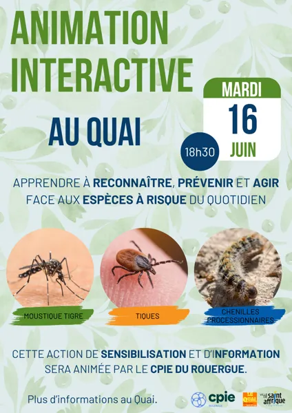 Animation et Sensibilisation aux insectes du quotidien