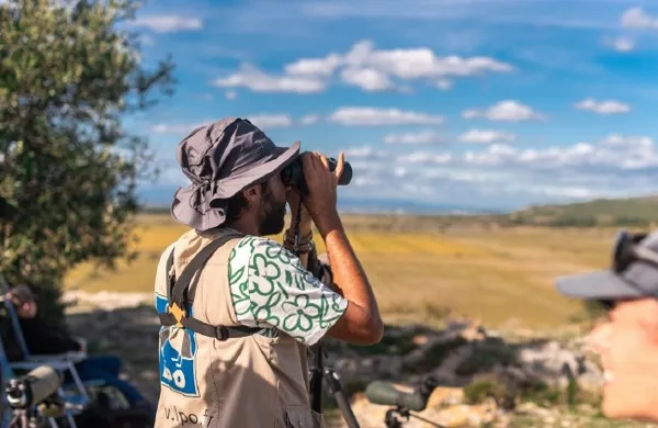 Sortie d'observation des oiseaux