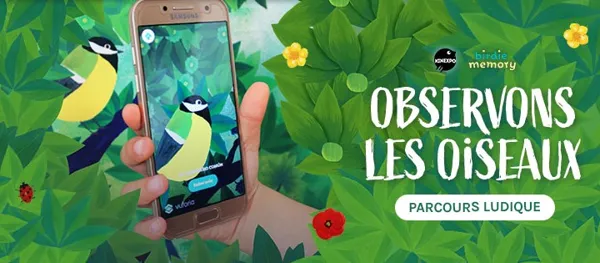 Exposition interactive sur les oiseaux