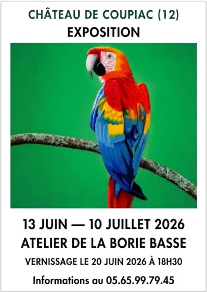Expositions au château