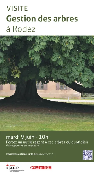 Visite : Les arbres de Rodez