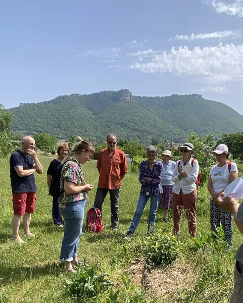 Sorties botaniques - Victoria Linhares - le Sentier des Herbes