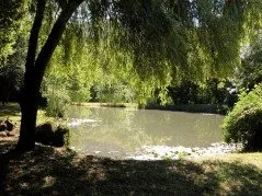Gratuit, Causse-et-Diège - photo 9