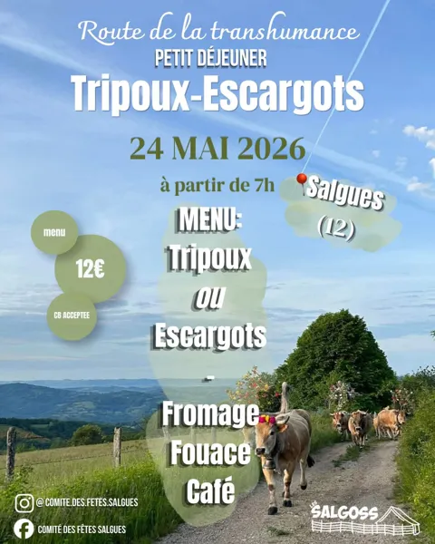 Transhumance à Salgues : matinée tripoux-escargots