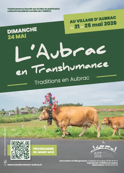 L'Aubrac en Transhumance, au village d'Aubrac