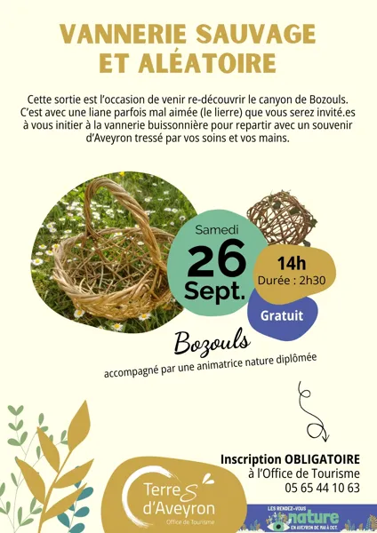 Vannerie sauvage et aléatoire - ENS de Bozouls