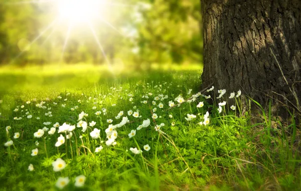 Atelier nature