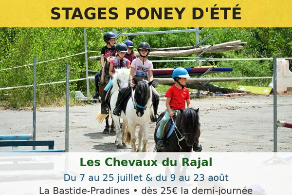 Stage poney d'été