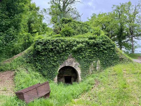 Tours et détours à l'Espace archéologique de Montrozier