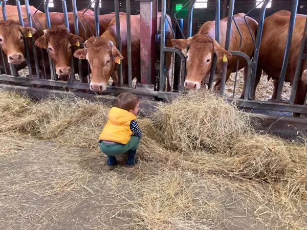 Visite découverte de la ferme de Loubatières