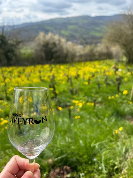 Découverte du Domaine de l'Obre : vignes, cave & dégustation
