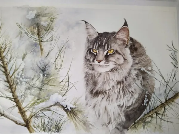 Exposition d'aquarelles