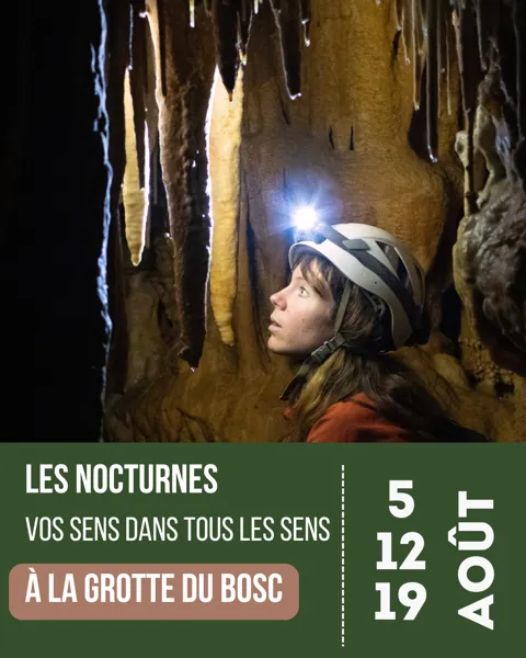 Les nocturnes du mois d’août