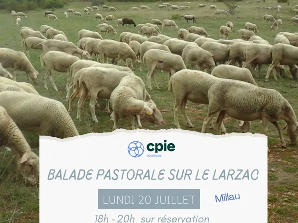 Nouveauté 2026 - " Balade pastorale sur le Larzac " avec le CPIE