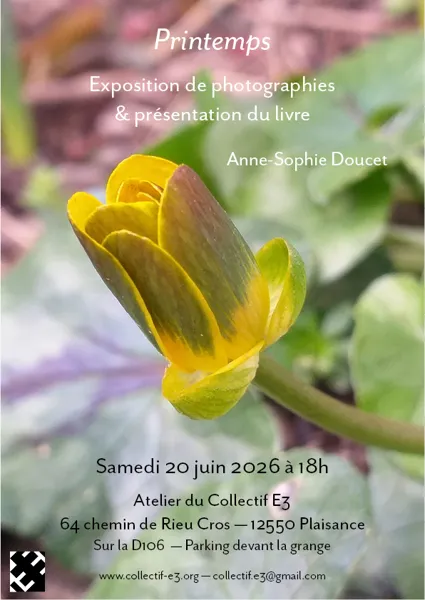Expositions, Atelier du Collectif E3