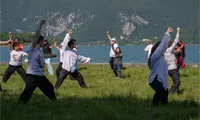 Démonstration de Mei Hua Zhuang