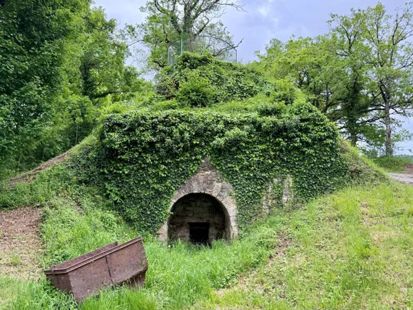 Tours et détours à l'Espace archéologique de Montrozier