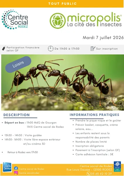 Micropolis - La cité des insectes
