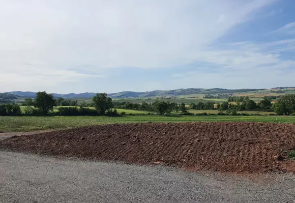 Le Marronnier de la Ramière