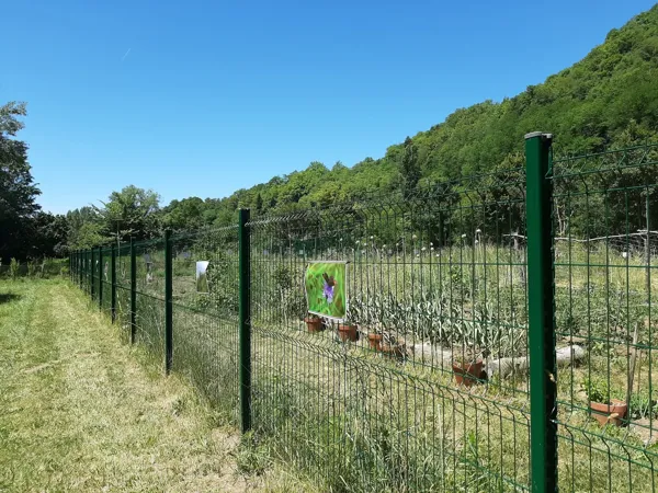 Expo photo sur la biodiversité aux jardins partagés, Association Graine de Jardin