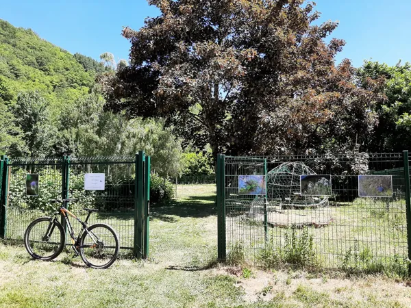 Expo photo sur la biodiversité aux jardins partagés, Association Graine de Jardin