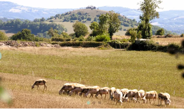 Randonnée avec les Caminaires de l'Olt al Dourdou : Gabriac