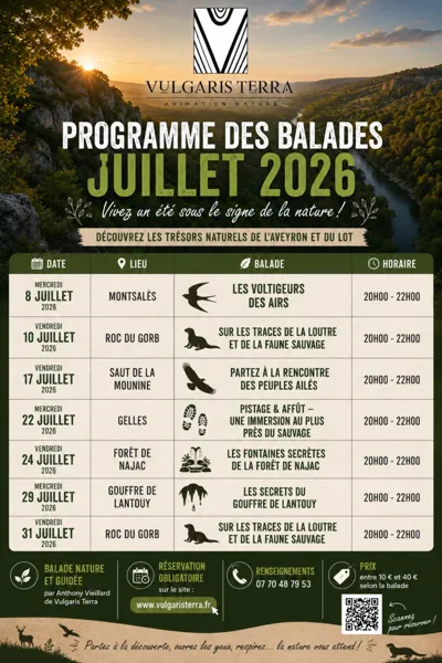 Vulgaris Terra - Les peuples ailés du Saut de la Mounine