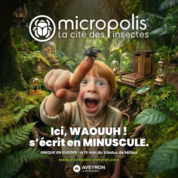 , micropolis
