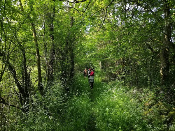 Balade « Découvrons le bocage autrement ! »